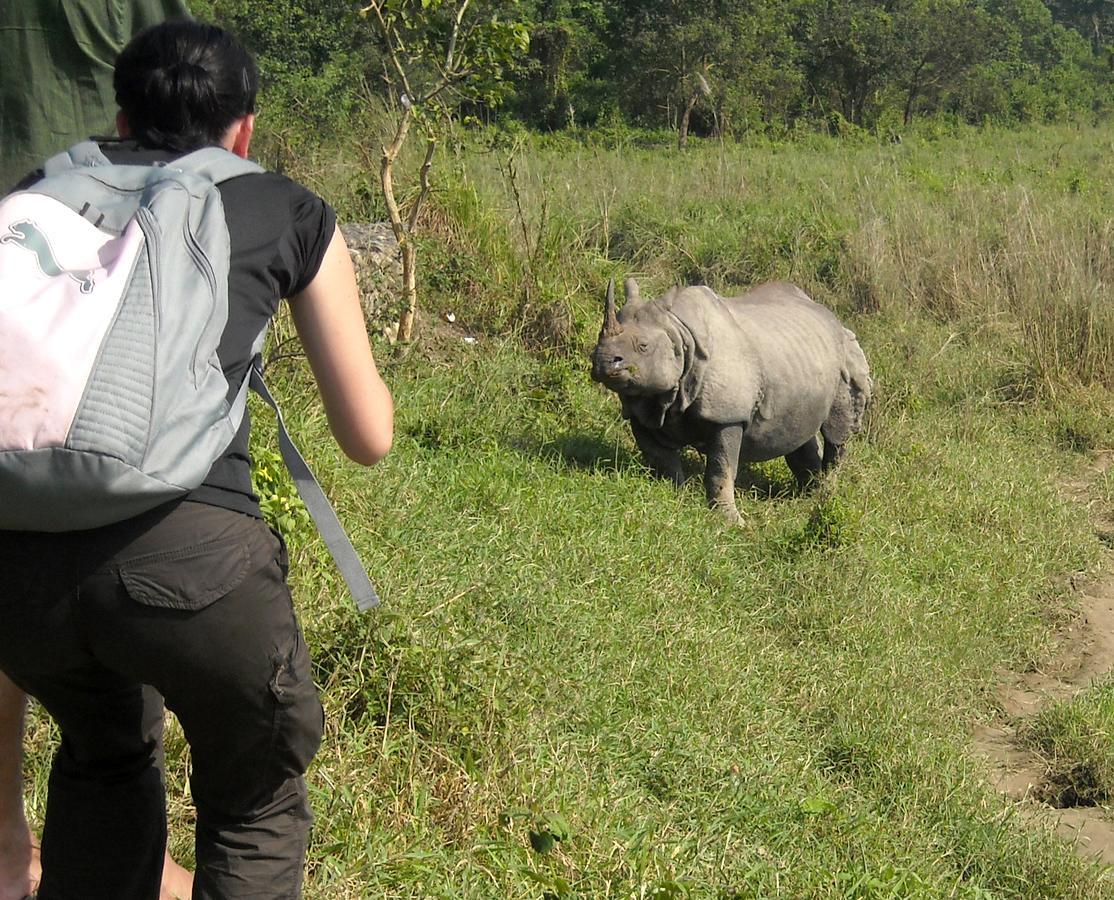 Hotel Rhinoceros-Homestay 索拉哈 外观 照片